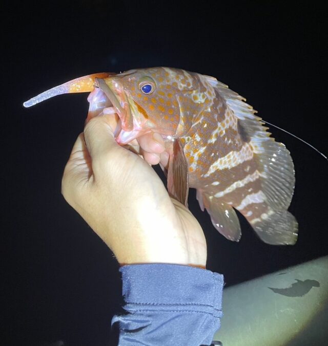 X9oyPO6VDCYn3H38E60jBMB2BJtdh-tG9nNbKoYiCKAEQsqOWIdJtxlqooKOKR5BLLg0dD_ZZRJ6C6nwr8izGa6H_SmDHoPw4m0sTy2MdQj88XRASb29pNYK_nxSRx0nOObrIXWDvj3wvVZWXR7TOg==