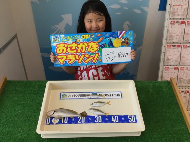 agzes_x_zhY9IJhcQJfGTazLYaR5ePb2kkNUhWGIGf3Z7bksOU3Tby44961wZQZqnqErhlc3Keck9MTBIYGksMkFBOpZi9Bb-EFErJrhDIT6ygOYj94emjNGLDcdU7S0xjd32DvNFM_jZ_FnFQeU0g==