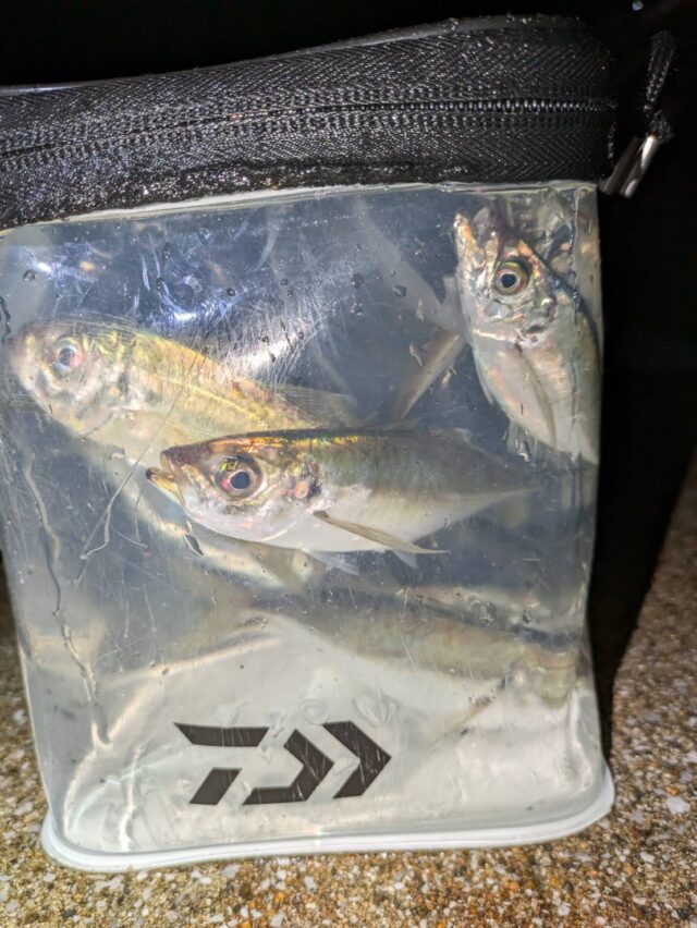 exNpz36huJh7-c4J6-3VFSBFAHk-gUB66pZ4v4PQ4uxizARWiIfsx630EuFGZkX4KBwzIKbPz_dKECGaLBk4XszFVf2nfe6BySflBMWnwUlK4FQ8RmHlDOcfe7DnjTK6-Y6RmCFYWj9R9NUu3GhWkQ==