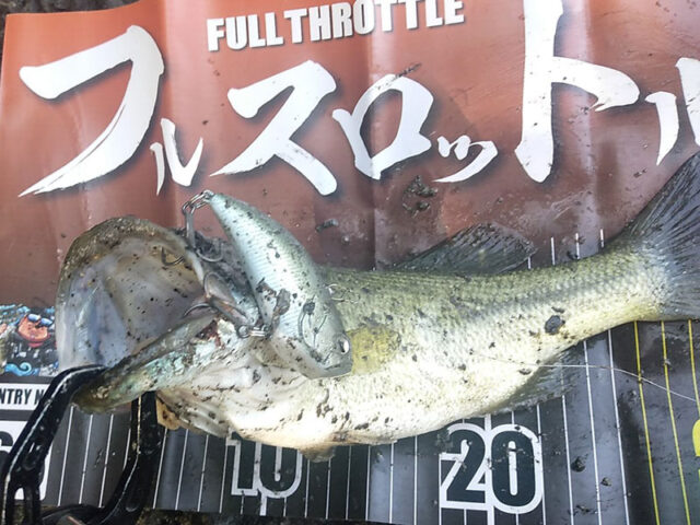 7月31日-板垣忠男様1