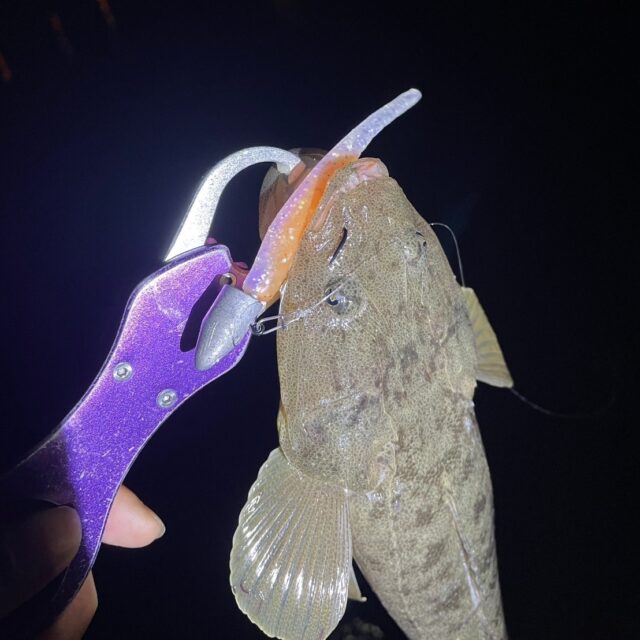 g_8NpOEJFH8sKrDWBDgaZt_2G-y2BY2vhKxcrWrCLxKOACSvDdUt13Z7dmwbbXgZUsCBI6WW-VhqJKxOgcAAbUunAzLNiqyhdOqTMsCruEkufm0fNd6Pgf8d1lQkeggGxjd32DvNFM_jZ_FnFQeU0g==