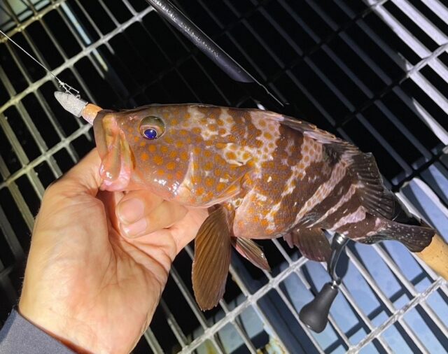 iFW5JQ0xiKMgSAGHTSrcgScGsz_i7qQn9GGYwyCxz02sy-R2k21ALdcDFkZwKzxG50TSGZDFBDqB2lcTOdXfMwwAtXwZ2kXlpbzfh1bFy7harHTRiU-tLqjjJZ7Ab6Eexjd32DvNFM_jZ_FnFQeU0g==