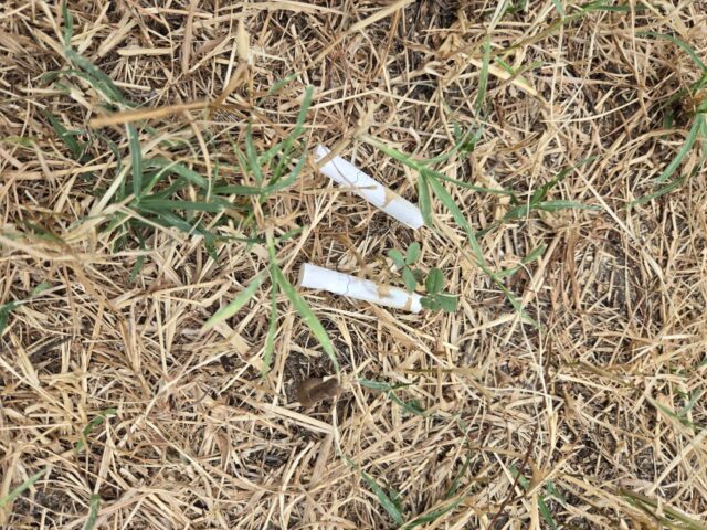 joYu43Ra0iIMHyW3QM8F_n3xQ_6pnSWH6PjnZOfBcTryCP30G2Rma_BXh7Kim-3cUteK1WDdLvP-7INfnFvY0GhIthd3yId1qvxaSjXsJax6_owqRdL3WiYlbzARC3sYjgTjgTGATm1_gXXKFHhmhg