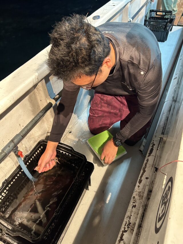 l19n0EPQfdrXFZvqYd2vDEaJq4mbqV1bN6vYgol3ptJgKOBQwHDhbb3qu0IS6Cf8A30bkR-Ze9izo7cQ_4tAuQ_duR1fwFlu7ixI6Bi9jtnaMloJXB25OtQhFHm6FhAJkpngZXezwyv0UN-p8nCI8Q==