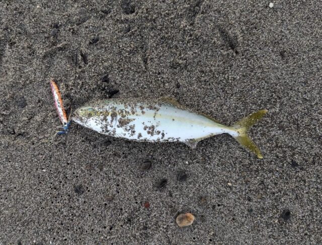 line_oa_chat_240808_183556