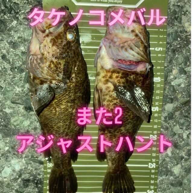 nOV_IBY4XVyhoWG3nQJMBICb8DcMuKi9uCLYI96Dczmbm4AcLzIYGhLPZEDoQKTiKHhDlDOJlVdLAgp-t-nxIa6ObU4vOUMbgnAWWXSA_fUou3C6u5K-WJqlC22VI0DYkpngZXezwyv0UN-p8nCI8Q==