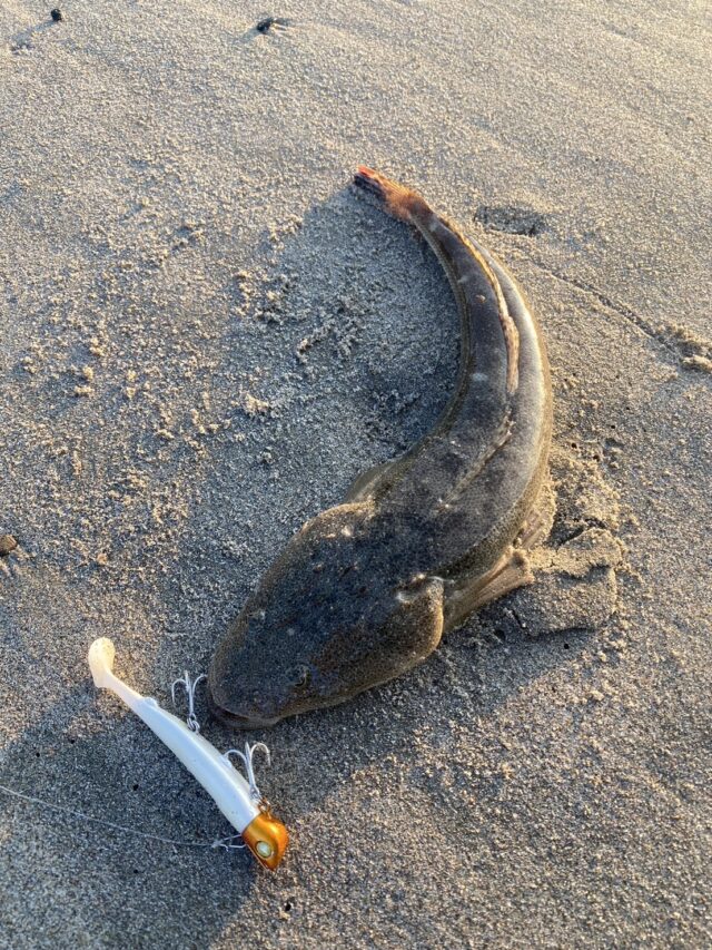 um9h-elv7cD-xOWuyj8SGdlNu3j0ZRFBRkOHV9qV-gvxriw7ScB8lQfcZy8xWLCO-G2t4okFKKYBx4KCpY7gqHGohrftRMT8hTNttGPz5En3sVUHfJReHlSxZorR-CBUkCPUNF5rJUTpUxwFl42Qjw==