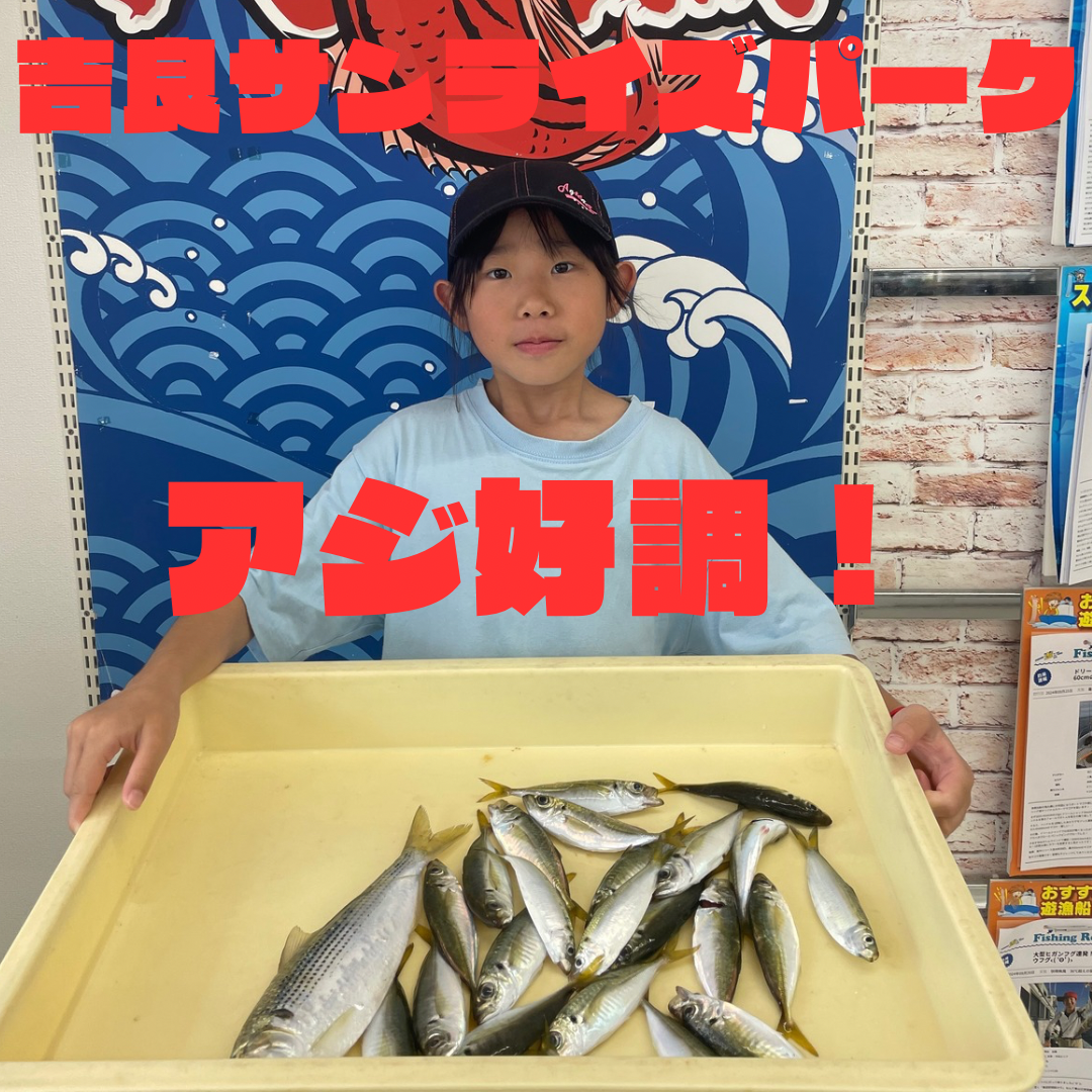 270F23C9-C19F-4E70-8E6C-0F81F1F38E53