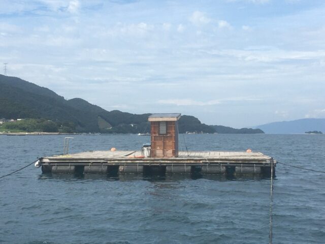 6C37D461-953E-4DE9-ADF1-2C672B092E40