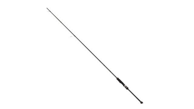 プレゼンテーション1