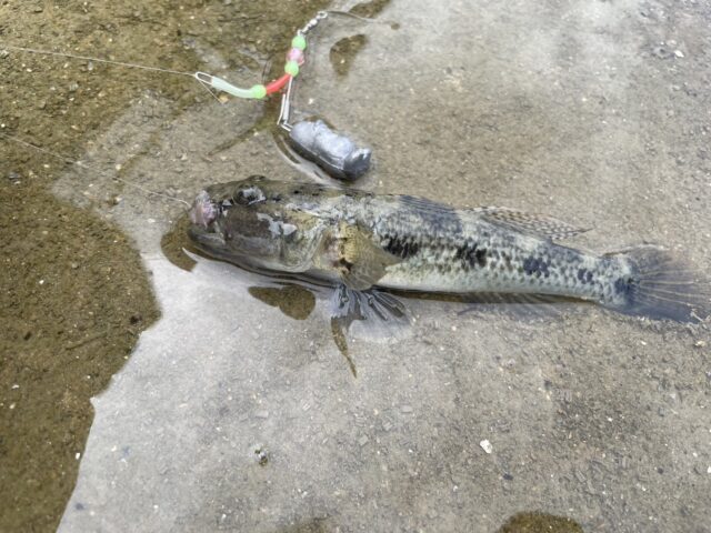 MtNjsaMBWKyTHqwOXnOAeQrnxRcdfMHTSysNema4XUFMUvkpG-pzYtkfQ2RHe388wjAC75S6YHdmaaIWGn1UrIXg1IfLlq6vf5m12uAmCuaEAtq9j3BOhFXerJ0iYWStdWH1GW1Hzzc1ZjJIrpDCnQ==