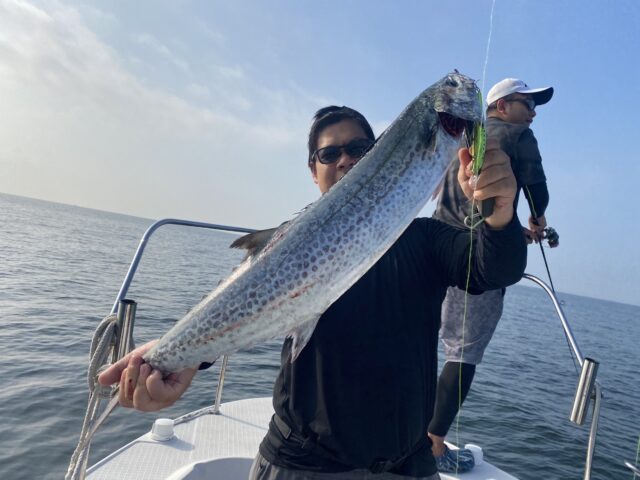 NvJZdqYdrYaqPQhupn303qMhDeKAaKmgO7wotdfUpUA2kW76sAz9WM_F55sQBk1xEsHwZD2cJJit-0kPBHLRpDAJVLav3yoVrNdWKZ1S71TX-kvJF4QtGY42Gjad1B_khQ7XXNlMIvOKyR-Uke5ipw==