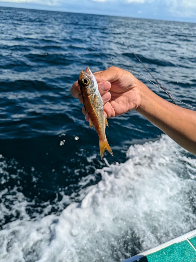 PXL_20240909_041906767