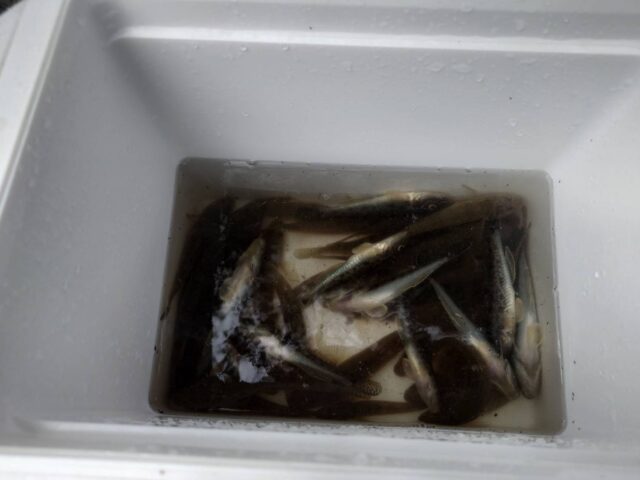 VHytqmkEX1jsWv0OVH7vkKMrU6Mk-ycaPdNp5-fY7qR1-WOKI3xve7H0qZ2YbKP0DXMC6Ge7MZvqTBY0YVXBZXOzYDleHPcFx_NjncNZUXhbmrB-6QNO79NH9vAHCVKmxjd32DvNFM_jZ_FnFQeU0g==