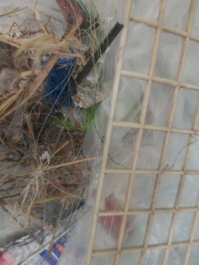 b2JA7us2KF4JPAEULDs1zW1sm9Mm8eCe1jSXrHEuLFvDN78hUoTRxiC8W_DA-jRjQOd7u0Pw3Ka7tFPu-XHR2IuwbYW3A877ygDCsNg6Vtw_OSa47sdW-wkhc8dxFNQk6jNu5bRgUMkvYKl3YQCxcw==