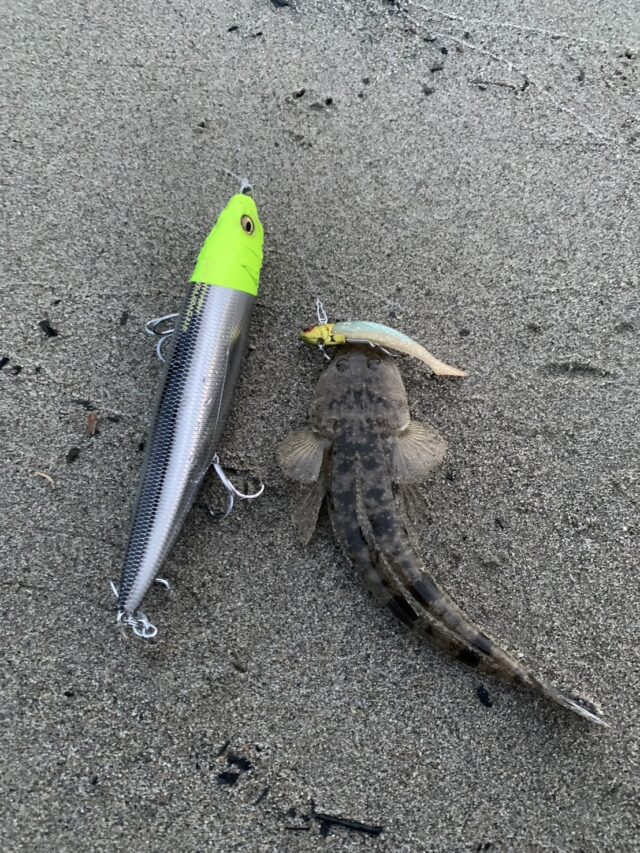 efr8-1FXR1n0GfhEtCjOXZdQshLYPVanm983k5K7xIwz9Jhct1HMnEZMaVh9Rlp34oLuH0njSoyM8IhdvAoQ2o5bzAHm7CZS60ppTJN4u2dafZSvE-3_d1eTw5KLFSKXyoEYSNdl5TIBu65cFcBv0A==