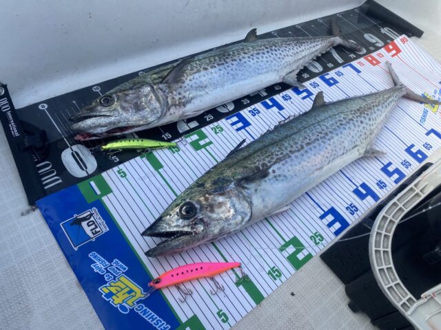 hGpWnPacY0ngQFBHq4qzoyjVAy0zsdhppdmVs8lgCZcgXbCDGiGL1m-oxZhHMtpOpx4Mc4Qae0h3eUvSAmGu2JTAxevN4ssNXQiSX2A4VvyauBiNCDsMZvJ3zRDbMPy0hQ7XXNlMIvOKyR-Uke5ipw==