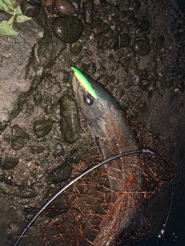 oRFZOfsQ2Nt4wD8pXAlV-3xLQrwXjFMNQ0vwyrSC16MDi4o8Bnm2hsejQ4jv9qV2EyqrQj2RkIJIypyhNnVLNNGqozbt7WUqpBq7Oi_xcq7oAaiWm7HpOexZuP0zMN3CQ0mGTKiMiK02azDH-NEk1Q==