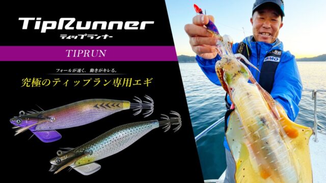 tiprunner-main