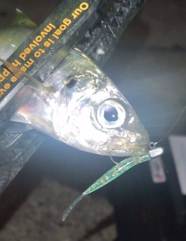 u0HYiJ8Ejg26LuxFqRGHlRHg2JnY_2vmKpsmqS8MlbSlxj2X7RVr8G7a6nk9t6x7kXl7XdKT1DClsCDwTF86WIw0WgaUhj5i0jsa1Pg23WIvjp8NSMTzGDHN_G9Xf-Ef6jNu5bRgUMkvYKl3YQCxcw==