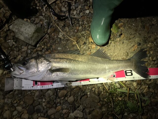 vavjzLbtmbKFwwnhFb2OE4NxYxT77TmKq4Cen5J0CjwU4hvZE7L9T06KgK5tZkvuDTDi6HIl7uCa2mEDURJ7tceGkDJOui89QL0IODTvO5lhLNDGVkrdDrsMv7zxQcgWdWH1GW1Hzzc1ZjJIrpDCnQ==