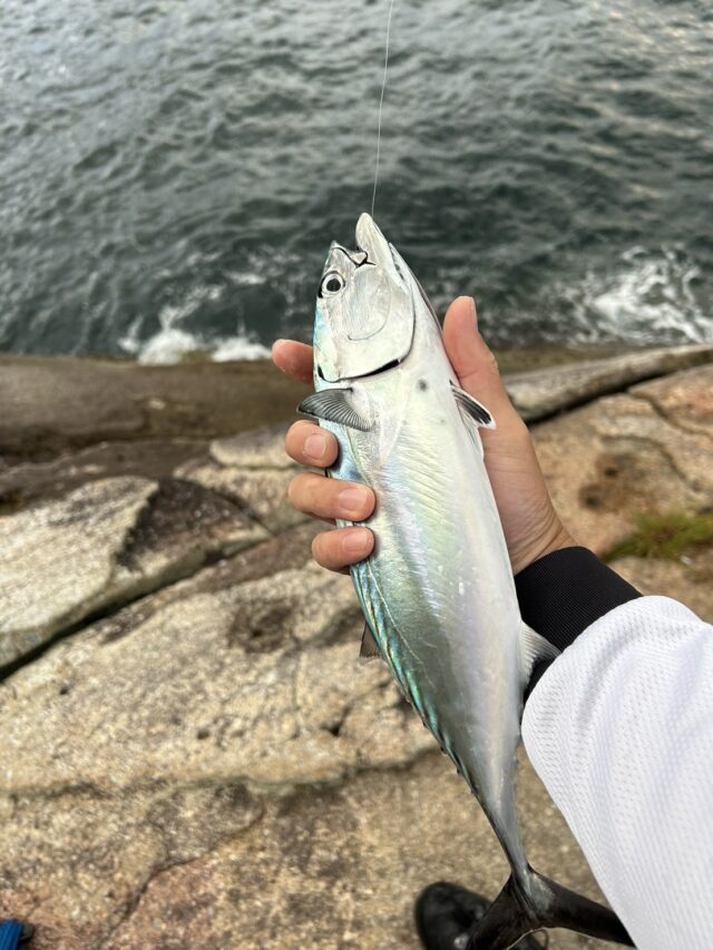 wvzEG-NMdxp2SoHU4mNfaZM4wbEs8WJxb8hf8yjHiFq6Tw_gxzOYDBKzrY6BxZ52_4vFKMySPBvp9ghyFyT_H8rTWVkOXlAGnRBTPIme5CBgteW7Eb8L6eeIzLU98bqKr6fRbKROf4YksHppMo5QDQ== (1)