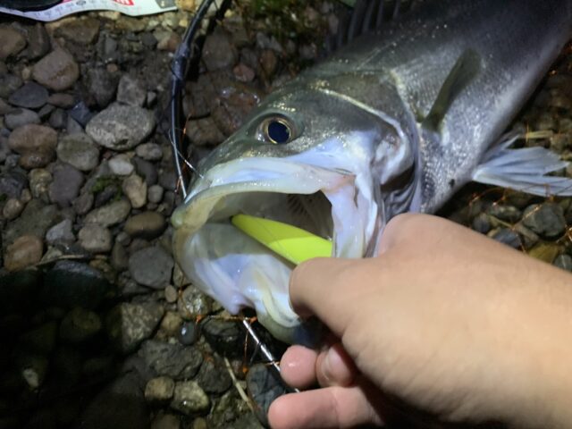 xNqU2EXsJOwmQbsqf8PSh7qnitjHxAoKClaO_Qx-2tRUqkEqe4ovW5yVZomITO_EWSCdBKgSQGLFzZajdE-zAb4W-p8eGkKQ4W7hrdvWobzJzAJdqs08mZX939ax--rp-Y6RmCFYWj9R9NUu3GhWkQ==