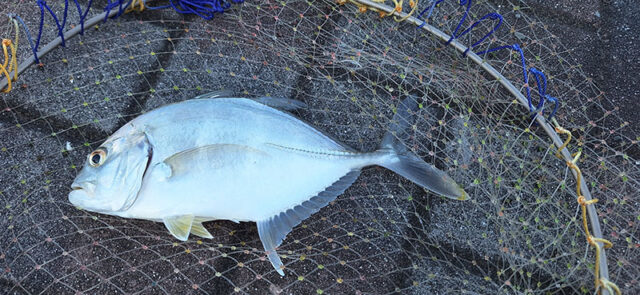 10月13日-松田英己様