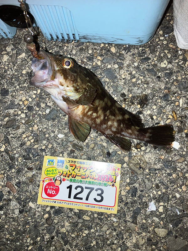 10月14日-deejay様1