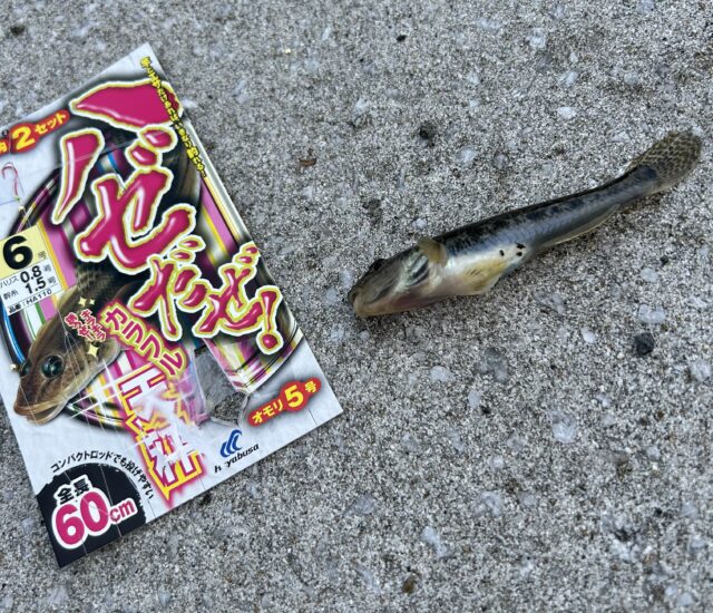 343C8AC6-66DA-40DE-AFA4-A9023EF9A31D