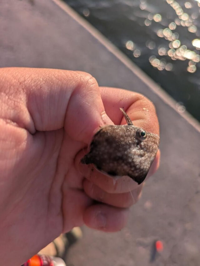 439867B3-1243-45F7-A20A-EFD22A0FF98E