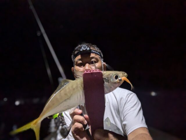 アジシラッシュでヒット