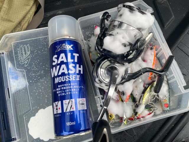 ムースウォッシュ