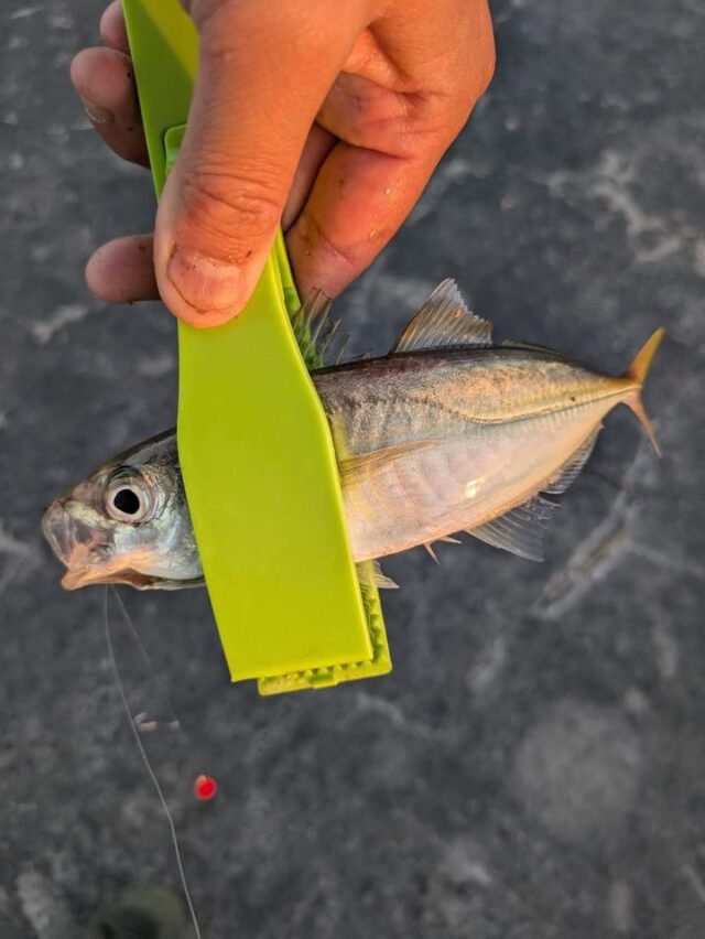 CE9D403D-D0AF-4817-8B90-39EE0FA22722