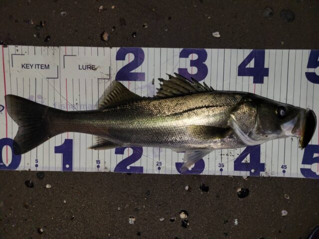 JnpCLWNsHsGgH62k-F-UxxEsYxkqCh8th9pIgCumQg9h0HNcex7pZt_0ZHoKiilHudvXbXa0opDPjsnczFnb_fbDfM3AdYgAeDAnhGIQLP8yv6H0a2dLlzEpmVTYSpRw6jNu5bRgUMkvYKl3YQCxcw==