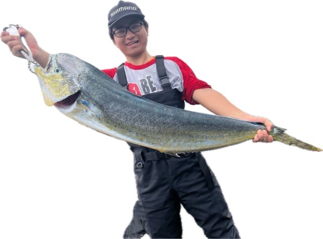 Jo54dUiGEL-3SNJ-CVqDUQW_N20BEEHLnPMAJsiu2iq6Q6fyyFa968RzGNxTRd87KeEjXZPQkRmYdrIG8BUczOtkMdMrj26I40KFVvb9Dt3rShhq1BLeVAltlN5Lm7ntQQq1-WG3eFy_I7uXKcbEYg==