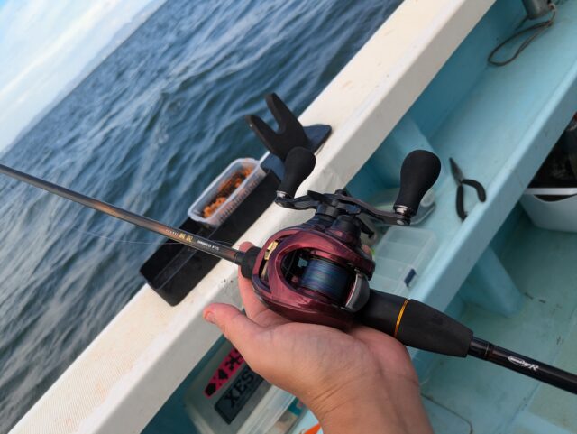 PXL_20241015_040144614