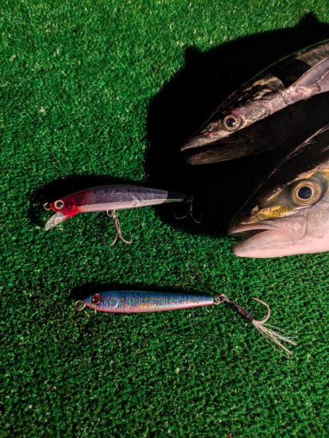 PXL_20241016_091454023