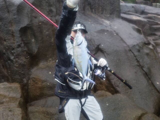 RrF3PN2hXeb5GNPlIU3ROmMKSGaCi0wc3gToxTTrqUdcLS5u_bTDWSxSzsC53eX0XiBPnKVFNHb-aVhk4H9Ee5YsRkn8osRbWGwQjEdbxK-gj69iGGt6FJrYEFaZBSkdjgTjgTGATm1_gXXKFHhmhg==