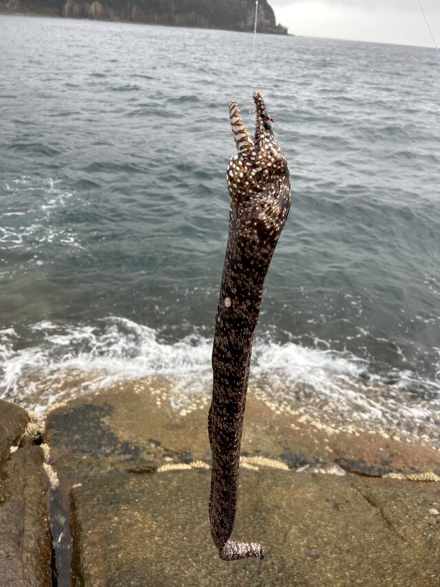 Wz9GVli9RF4bUFw7sLyg5C2SoZAHilam4LnTDuGXMZP_Aq8tdNIj3LZJ5LFTU58_xQ-LWXjdHKx_rQOgzMq7TwAlzKVmwsFreV86ylvYidi1PvjSLRfB_JMYAyxQSf8fjgTjgTGATm1_gXXKFHhmhg==