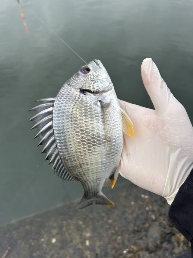 ZsYrQpKb83g2TM3UAycFdN5XL9bTzM_vKXMMvDJkv-JsvFWTKvGXBeqAq1QwTTTb58B6xPyhZ3h5QM_SVv-zPoCWwejkqENeu_utVQ2g2p5262j99JGYOJau98NC8nzRyoEYSNdl5TIBu65cFcBv0A==