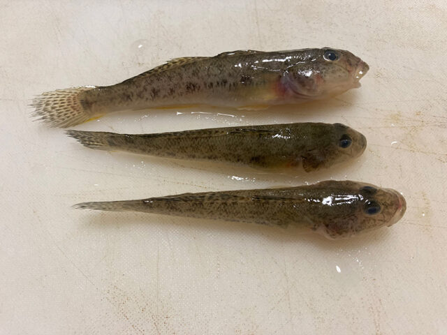 10月28日-松本智行様1