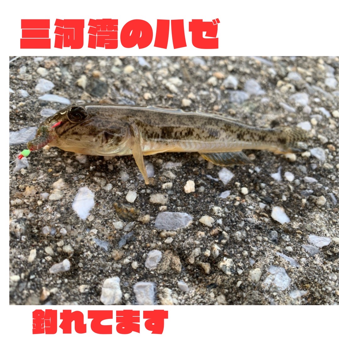 eAomtN-36Leo-8fBTSpwbWxqX3MI6U1FcIGYXCkpNKSqRSBbFS4Oez5GUigBBAbiXaSihmUWVZk8_n__uh_JJt9Ko_AdW_SY-Ql3JhhQuO_4dA6x9NEJKTJertSKR29LkCPUNF5rJUTpUxwFl42Qjw==