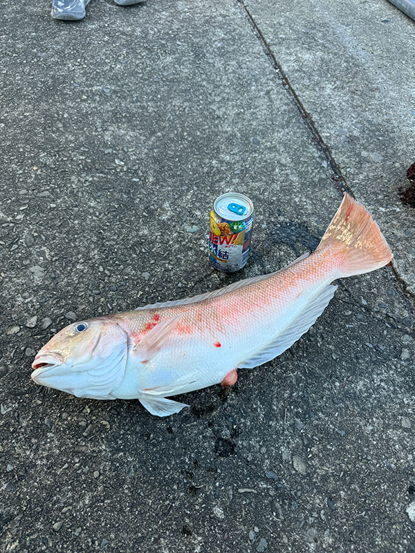 10月13日-錦-喜雄様