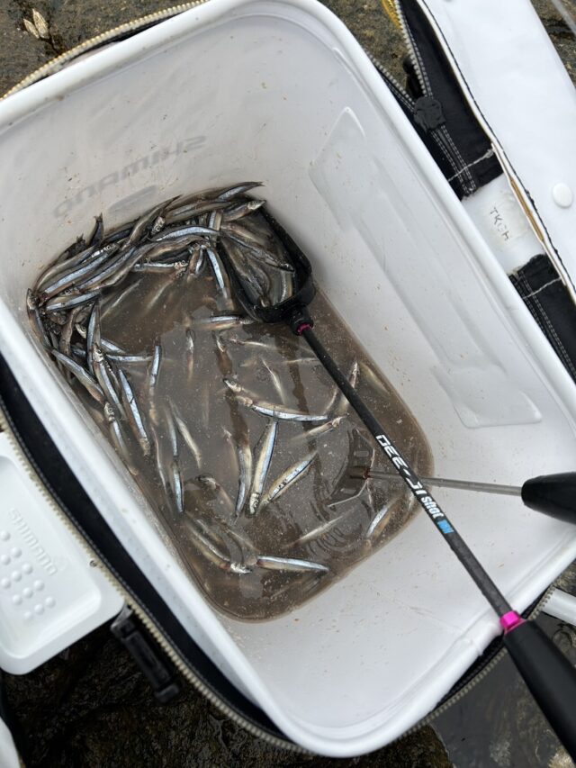 la7vZCP5KsMoZ-MolP70IMH1hAbQ9f81HmHHXucg337sjQMj_y3RFLUx7TltDkH10VmWZ6oRpbIHS2jd42xGhHvPx8bK0XUo_L58efGxhzzBMDRII0UABddk6WTJzZKUQQq1-WG3eFy_I7uXKcbEYg==