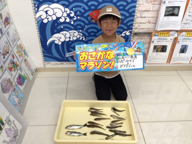 line_oa_chat_241013_105421