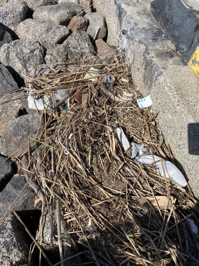 line_oa_chat_241021_151442