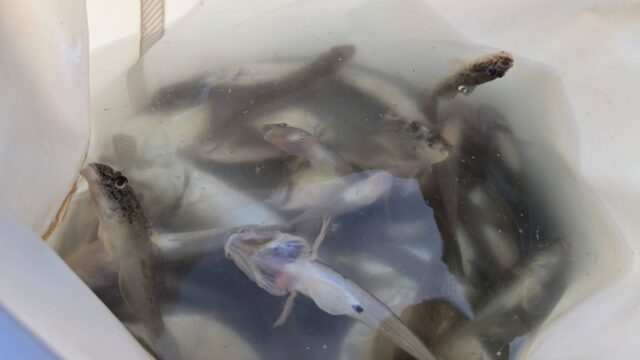 line_oa_chat_241021_151922