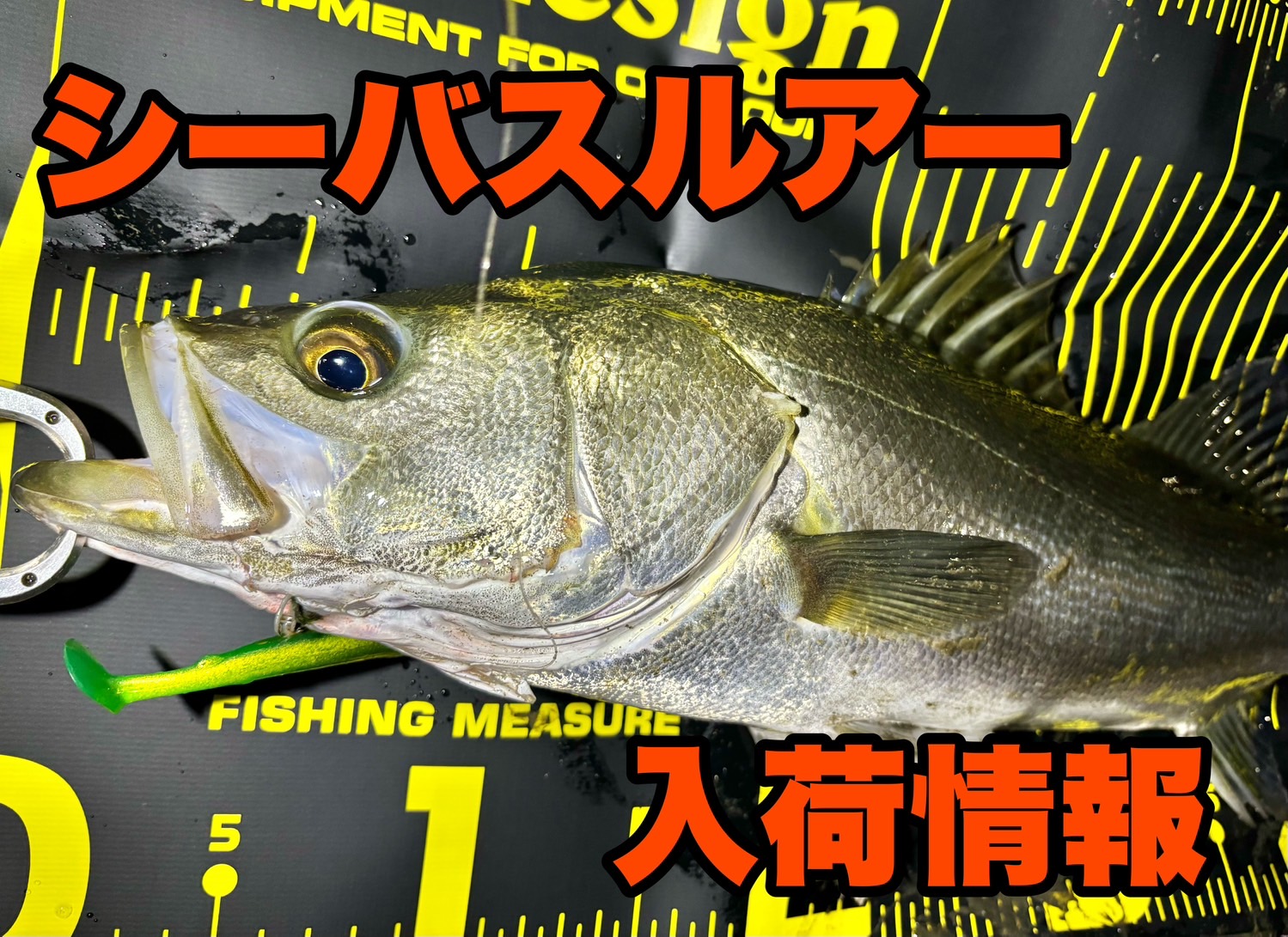 line_oa_chat_241022_175432