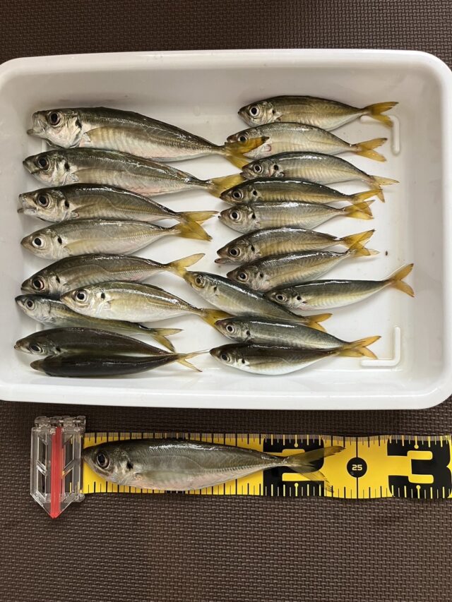 t2XTjBCaI0a0KKVzAN7IUyv2VHh1Vsk1MEN3vq2o4xKV3J5GhwJmyNSXfga5q0_j892QHbeZpddQaHhqxSi0NmkC-iVC8U4YYU9_n2g0kNw8WUJumHKWSWPB9raD1nssQQq1-WG3eFy_I7uXKcbEYg==